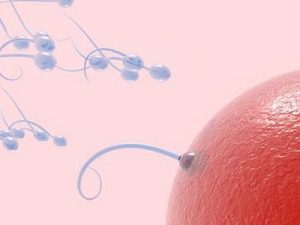 tac-nghen-tinh-trung-gay- vo-sinh