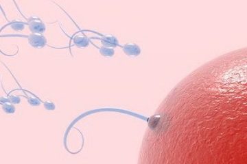 Tắc nghẽn tinh trùng có gây vô sinh không