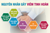 [ Bật mí] 8+ Nguyên nhân viêm tinh hoàn ở nam giới