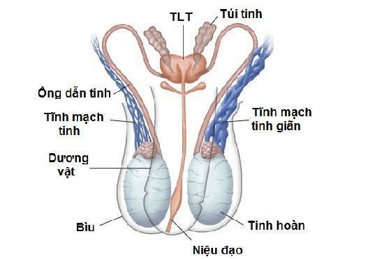Tác hại viêm tinh hoàn